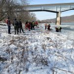 article image - search 2